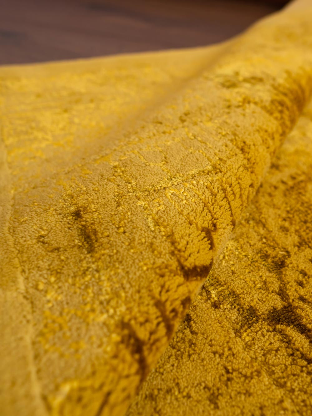 80x140cm Vonios kambario kilimai / Kilimai į koridorių - Chameleonas - Garstyčių